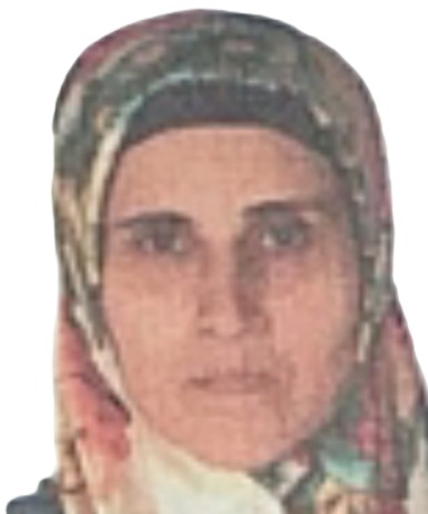 feride-bardakci
